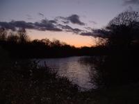 sunset-heronry-pond-0204.jpg